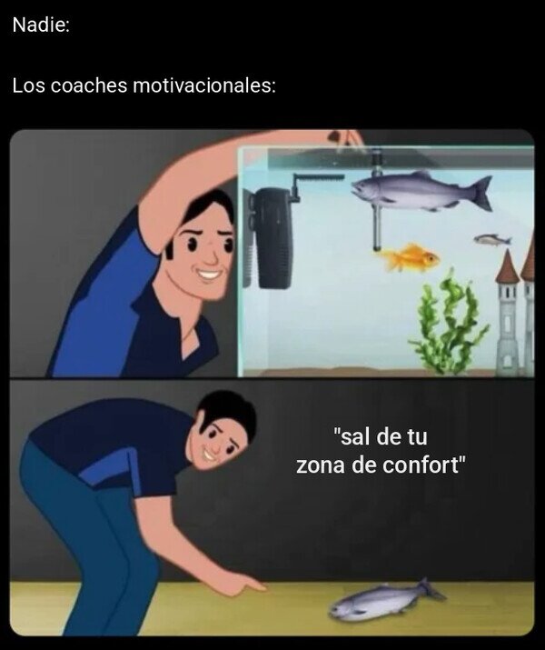 Meme_otros - Su consejo estrella