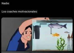 Enlace a Su consejo estrella
