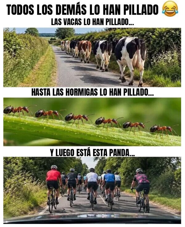 Meme_otros - ¿Cuesta mucho ir en fila?