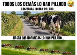 Enlace a ¿Cuesta mucho ir en fila?