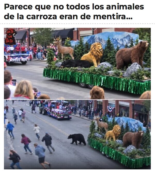 Otros - ¡Menudo susto!