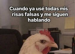 Enlace a Mis dotes de actuación tienen un límite