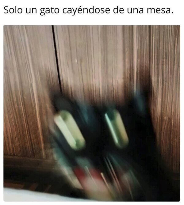 Meme_otros - Puede optar a foto del año