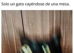 Enlace a Puede optar a foto del año