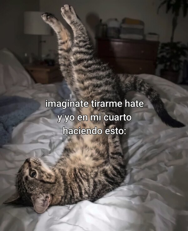 Otros - Eso es lo que me afecta