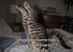 Enlace a Eso es lo que me afecta
