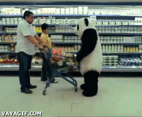 supermercado,oso,violento