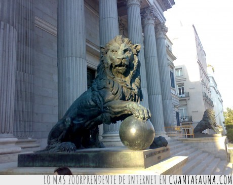 leon,congreso,foto,poli