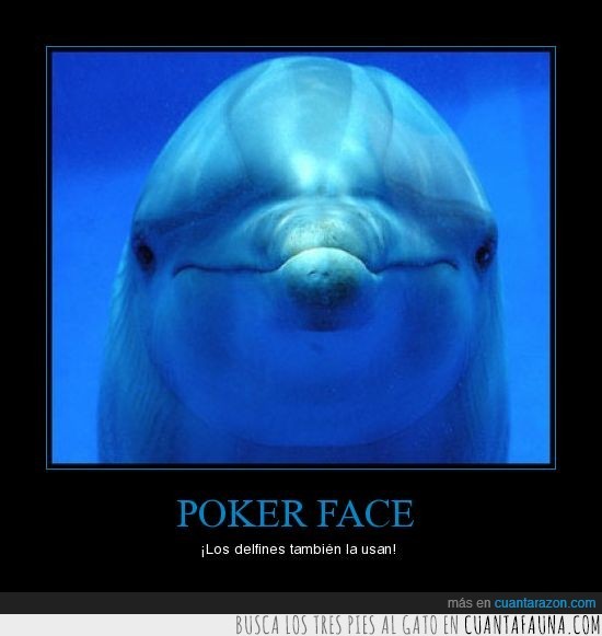 poker face,delfín,agua