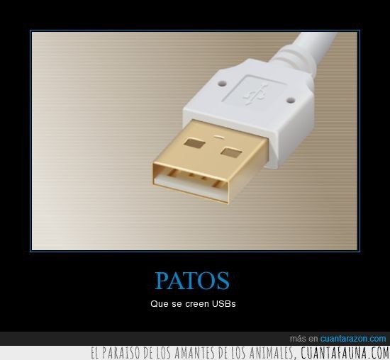 17405 - PATOS - Que se creen USBs
