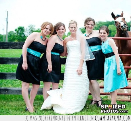 foto,caballo,boda