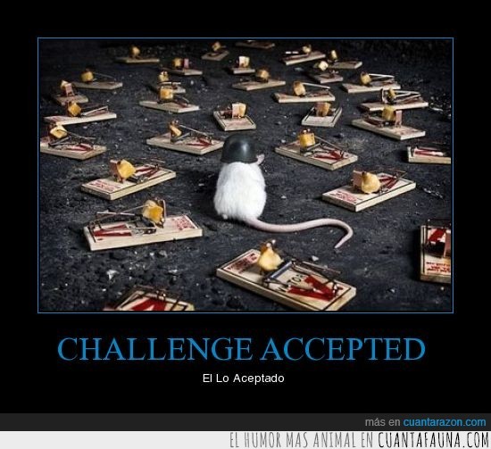 raton,challenge accepted,trampas