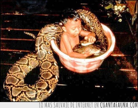 tarzan,serpiente,baño