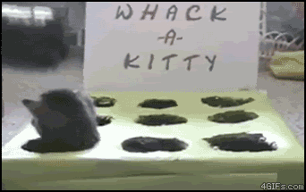 gato,juego,kitty,whack