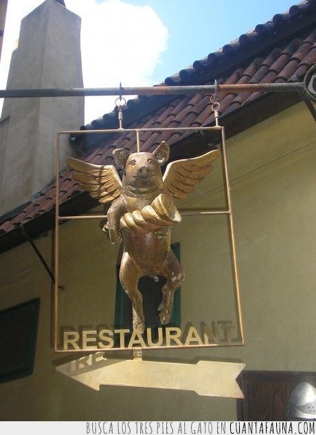 volando,figura,cerdo,restaurante