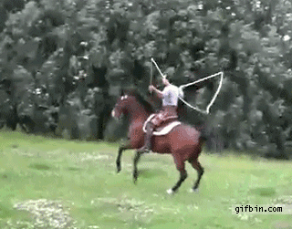 saltar,cuerda,caballo