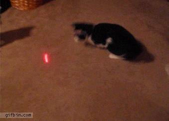 laser,gato,fail