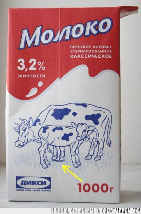 vaca,Rusia sovietica,patas
