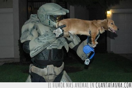 14606 - A FALTA DE ARMAS - Buenos son perros