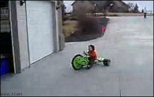 triciclo,perro,niño,juego,aparcar