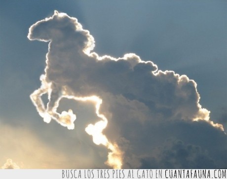 nube,forma,caballo