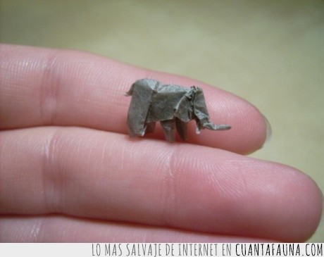 precisión,elefante,minusculo,origami
