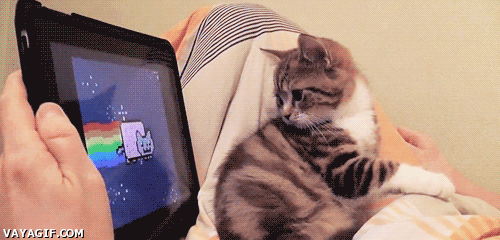 Nyan Cat,gato,Ipad,video