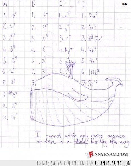 17105 - EXCUSAS PRO - No puedo escribir más respuestas mientras haya una ballena en medio