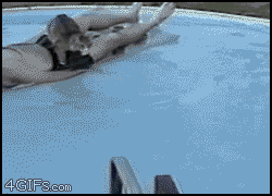 gato,salto,piscina