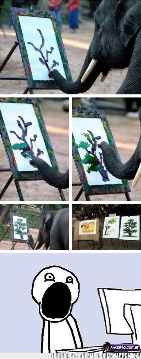 cuadro,elefante,pintura,trompa