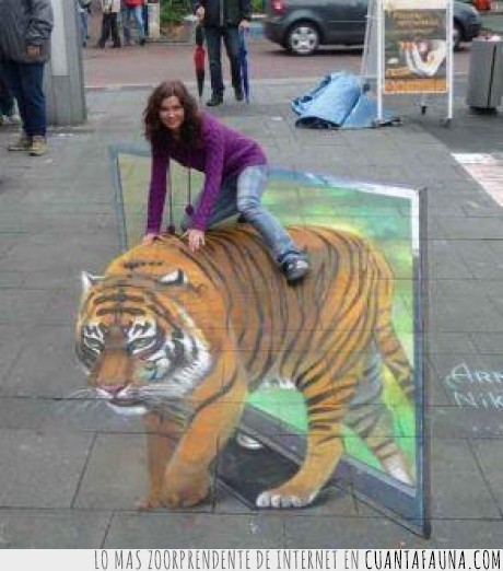 street art,perspectiva,tigre,asombroso
