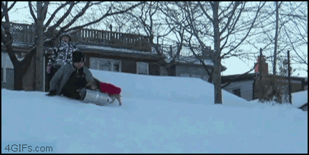 perro,niño,nieve,caída