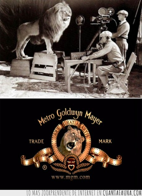 Leon,MGM,origen,rugido