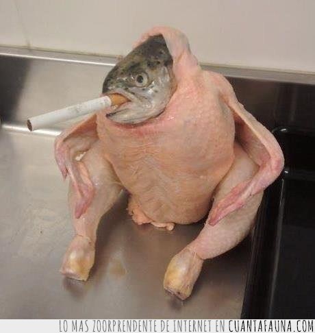 cigarrillo,fumar,pollo,pez