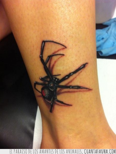 tatuaje,araña