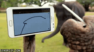 elefante,pintar,tablet