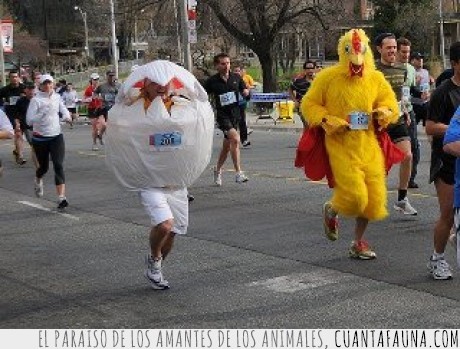 disfraz,maratón,carrera,¿el huevo o la gallina?,pregunta,gallina,Huevo