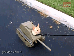 perro,tanque,ejército,soldado