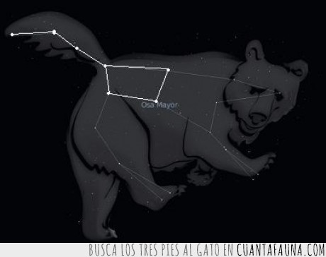 oso,constelaciones,estrellas