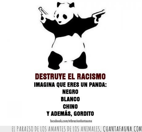 panda,oso,chino,negro,blanco,gordo,racismo