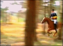 caballo,jinete,salto,fail
