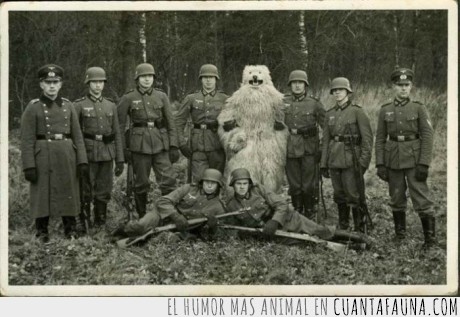 16182 - DÍA 36 - De momento los alemanes no se han dado cuenta de que soy un oso