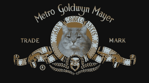 metro goldwyn mayer,aburrido,gato