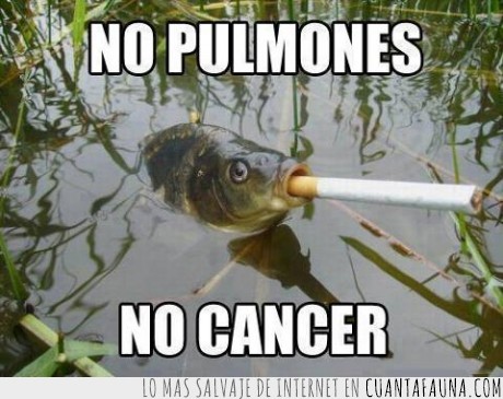 fumar,cigarro,encender,apagar,espera,pez,cancer,pulmones