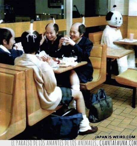 Extraños,Japon,cabeza,chica,rapada,samurai,perro,gato,disfraz,colegiala,restaurante,wtf