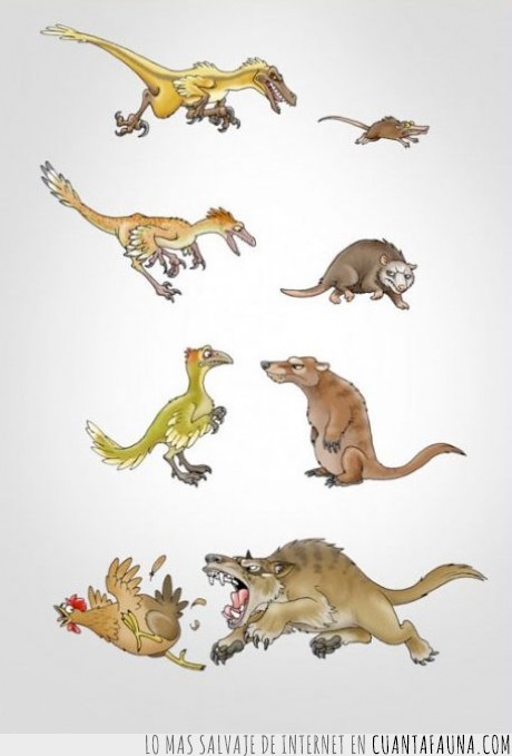 coyote,raton,gallina,dinosaurio,evolucion,lobo