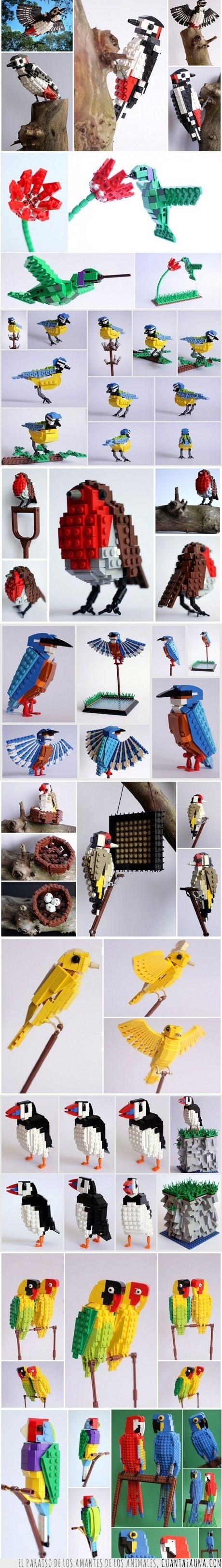17448 - LEGOS - También en Pájaros
