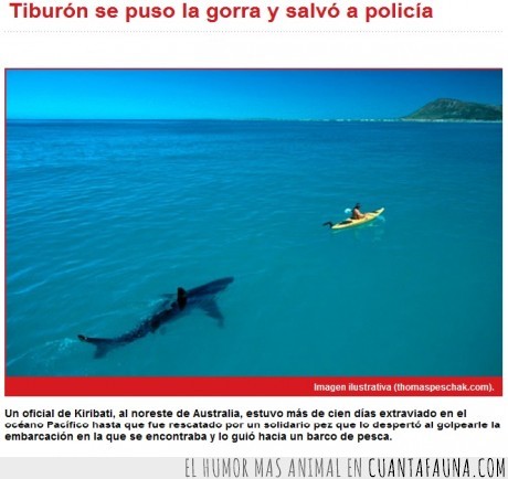 imagen ilustrativa,tiburon,salva,policia,ayuda,rescate