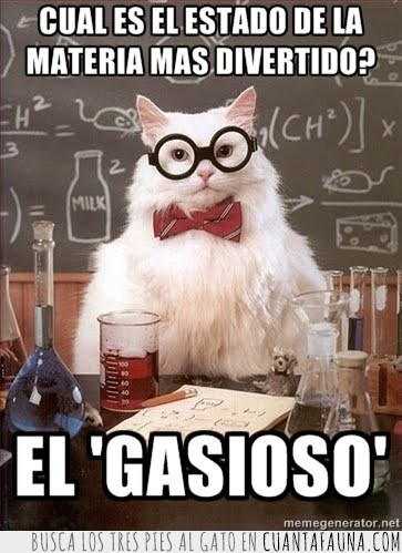 gato químico,gas,divertido,gasioso