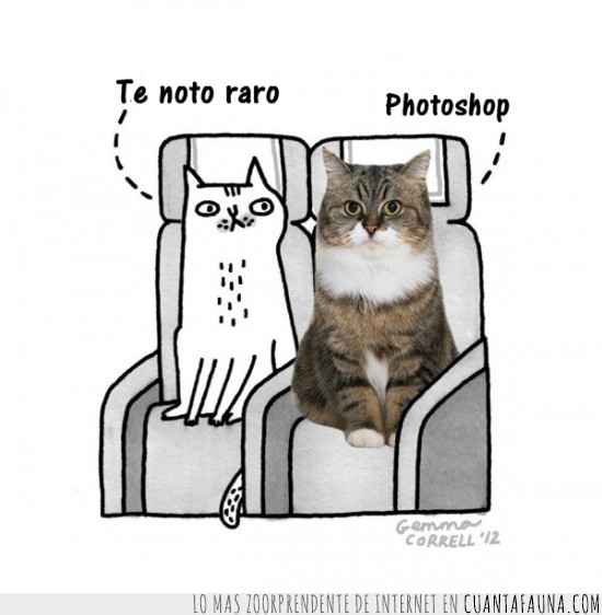 gato,photoshop,raro,dibujo